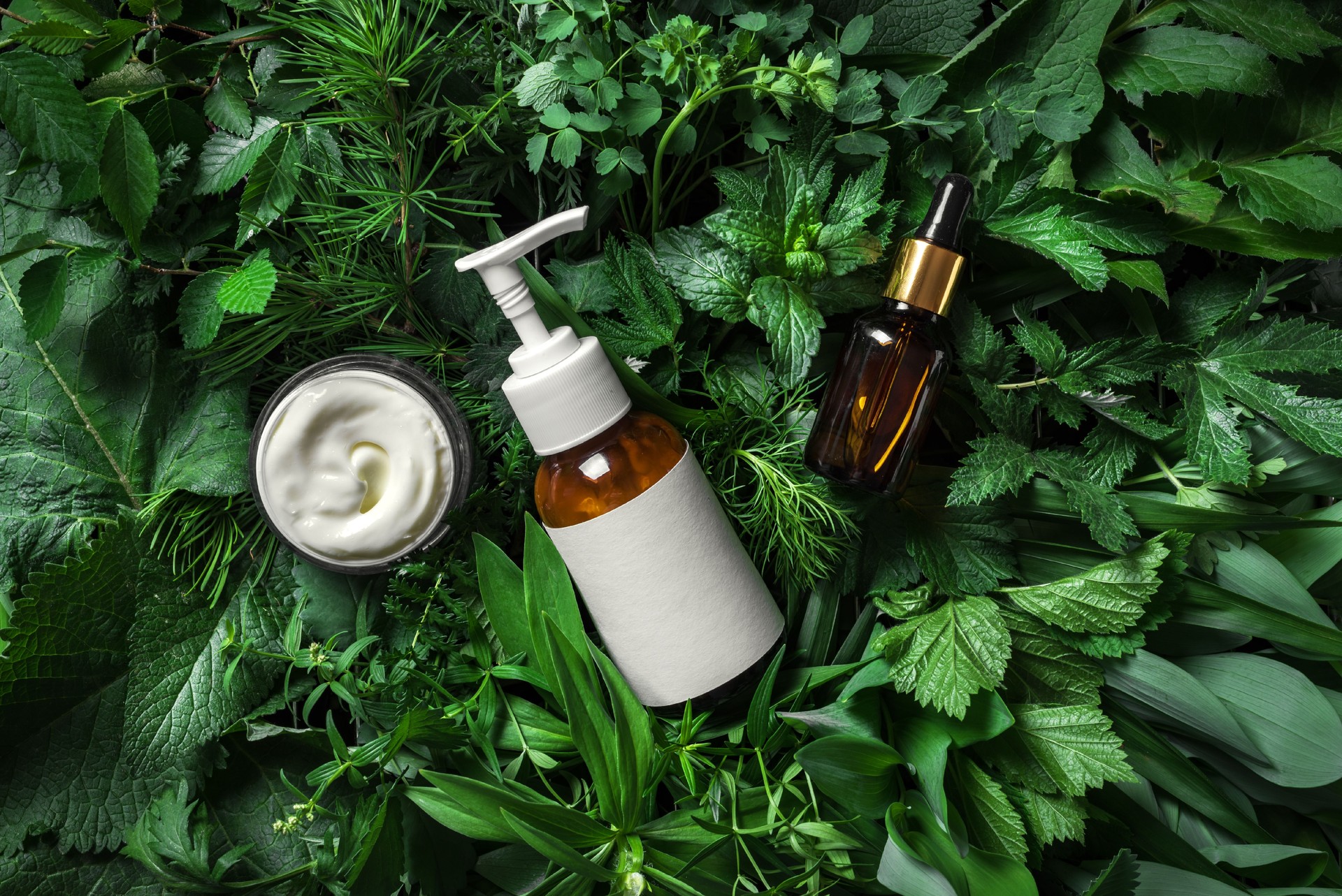 Cosmetic skin care products on green leaves